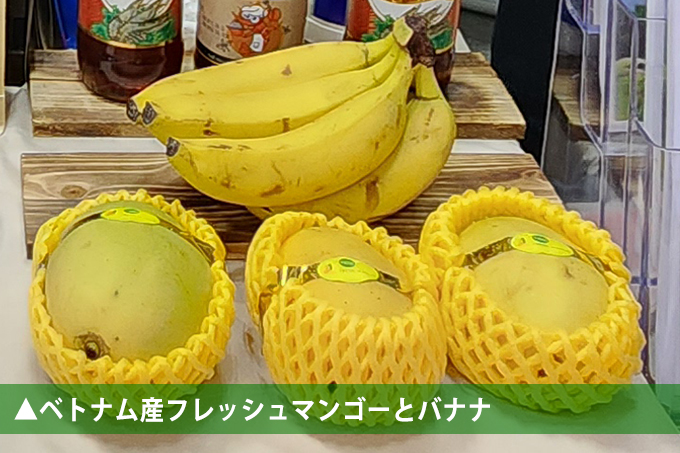 ベトナム産フレッシュマンゴーとバナナ|株式会社リベト商事 ICHIBAFOODS事業部